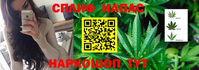 PSILOCYBIN Апшеронск