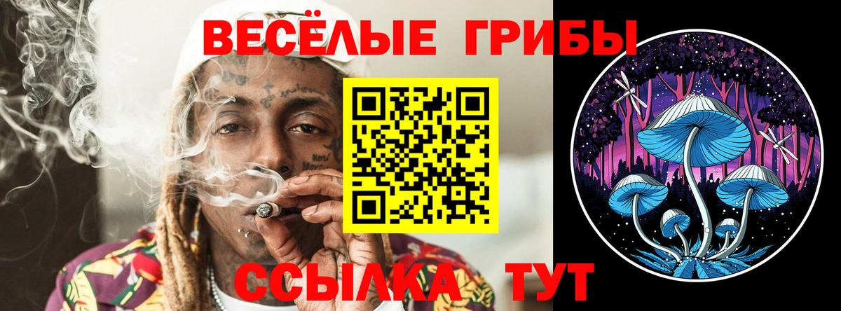 Галлюциногенные грибы Cubensis Борисоглебск